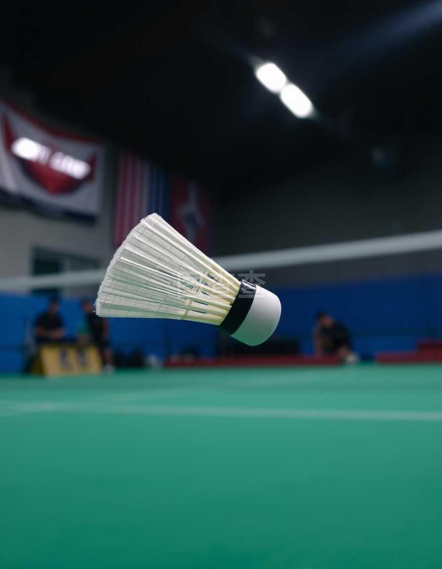 瑞士快车费 瑞士快车费